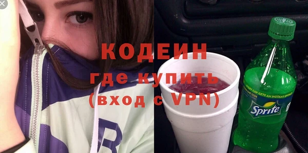 ECSTASY Гусь-Хрустальный