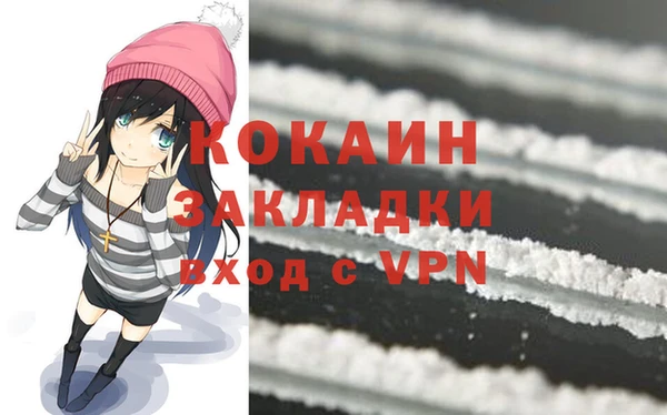 ГАЛЛЮЦИНОГЕННЫЕ ГРИБЫ Гусев