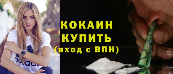 ECSTASY Гусь-Хрустальный