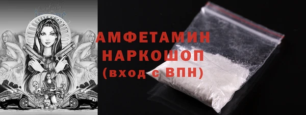 ГАЛЛЮЦИНОГЕННЫЕ ГРИБЫ Гусев