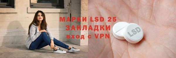 ECSTASY Гусь-Хрустальный