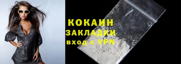 ECSTASY Гусь-Хрустальный