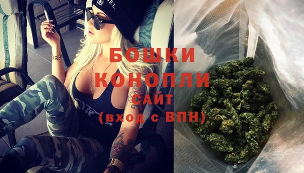 ECSTASY Гусь-Хрустальный