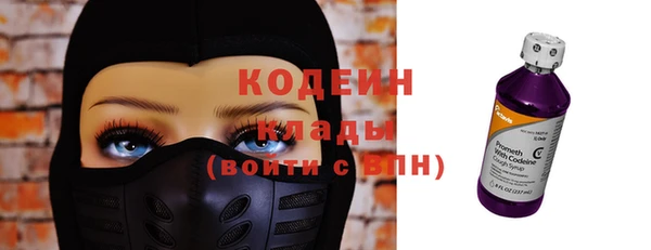 ГАЛЛЮЦИНОГЕННЫЕ ГРИБЫ Гусев