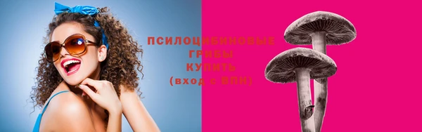 гашишное масло Гусиноозёрск
