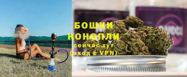 ECSTASY Гусь-Хрустальный