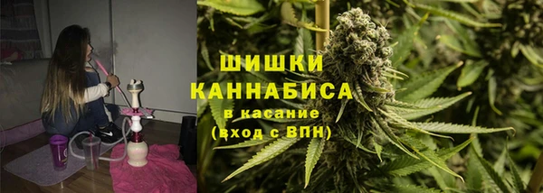 ECSTASY Гусь-Хрустальный