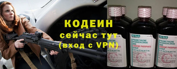 ГАЛЛЮЦИНОГЕННЫЕ ГРИБЫ Гусев
