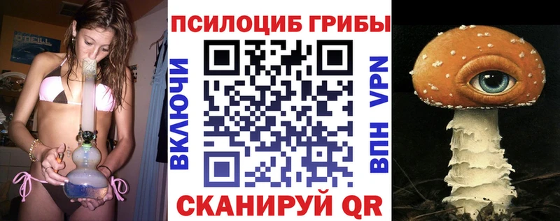 Псилоцибиновые грибы Psilocybe  Купить где  Кодинск 